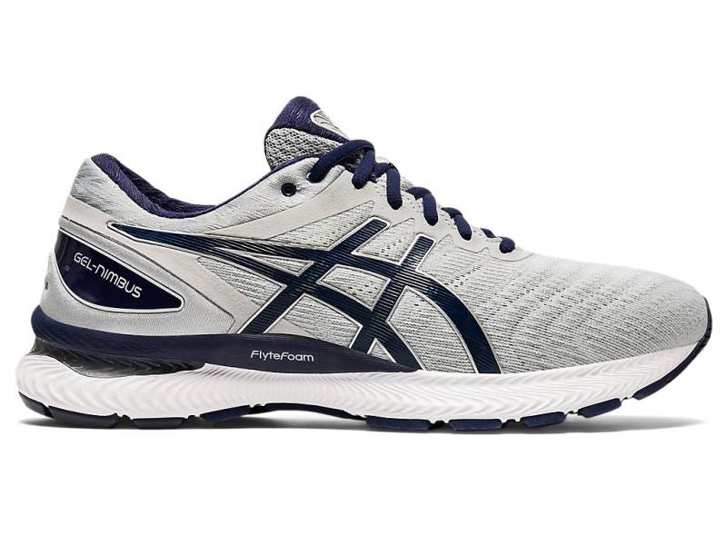 Pánské Běžecké Boty Asics GEL-NIMBUS 22 Šedé 04782OEIT